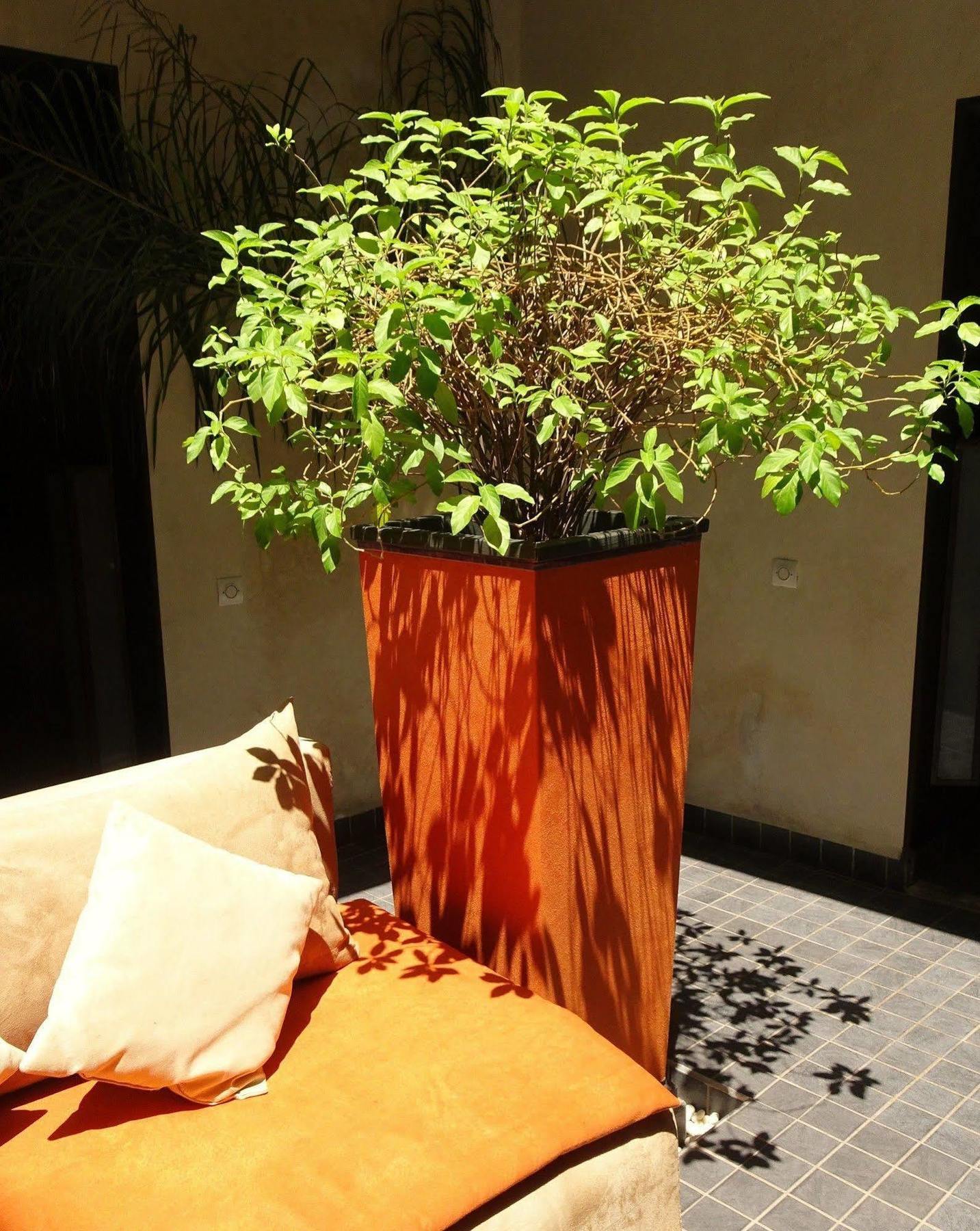 Riad Pierres Et Saveurs Soleil مراكش المظهر الخارجي الصورة